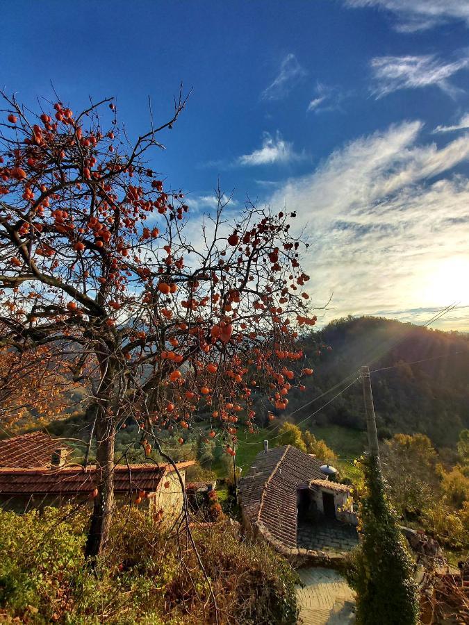 Il Convento Di Casola Casola in Lunigiana المظهر الخارجي الصورة